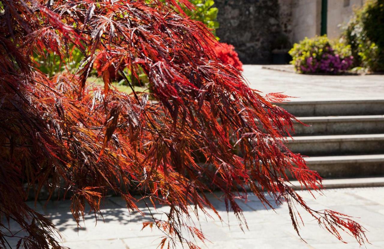 셀라노바 Jardines Pazo A Fabrica 게스트하우스 외부 사진