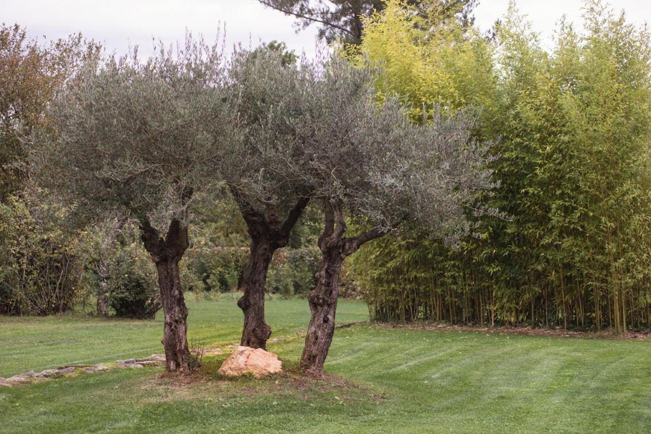 셀라노바 Jardines Pazo A Fabrica 게스트하우스 외부 사진